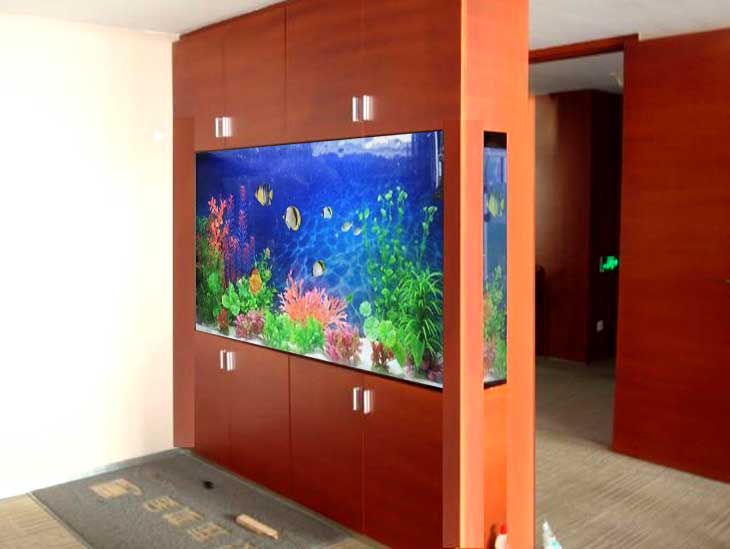 昆明搬家搬運(yùn)魚缸需要注意的事項(xiàng)有哪些？